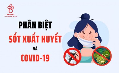 Cách phân biệt sốt xuất huyết và Covid 19.